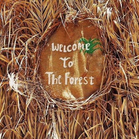 Siwa Oasis Forest Camp Siwa - كامب الغابة מראה חיצוני תמונה