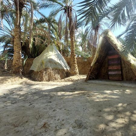 Siwa Oasis Forest Camp Siwa - كامب الغابة מראה חיצוני תמונה