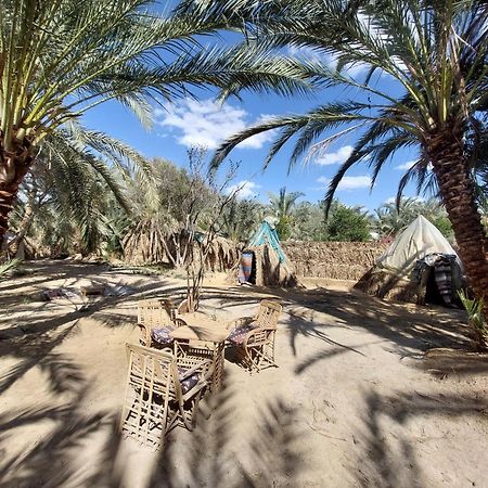 Siwa Oasis Forest Camp Siwa - كامب الغابة מראה חיצוני תמונה