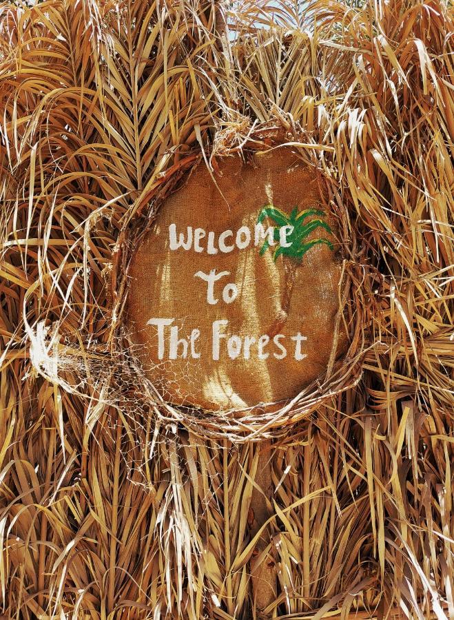 Siwa Oasis Forest Camp Siwa - كامب الغابة מראה חיצוני תמונה