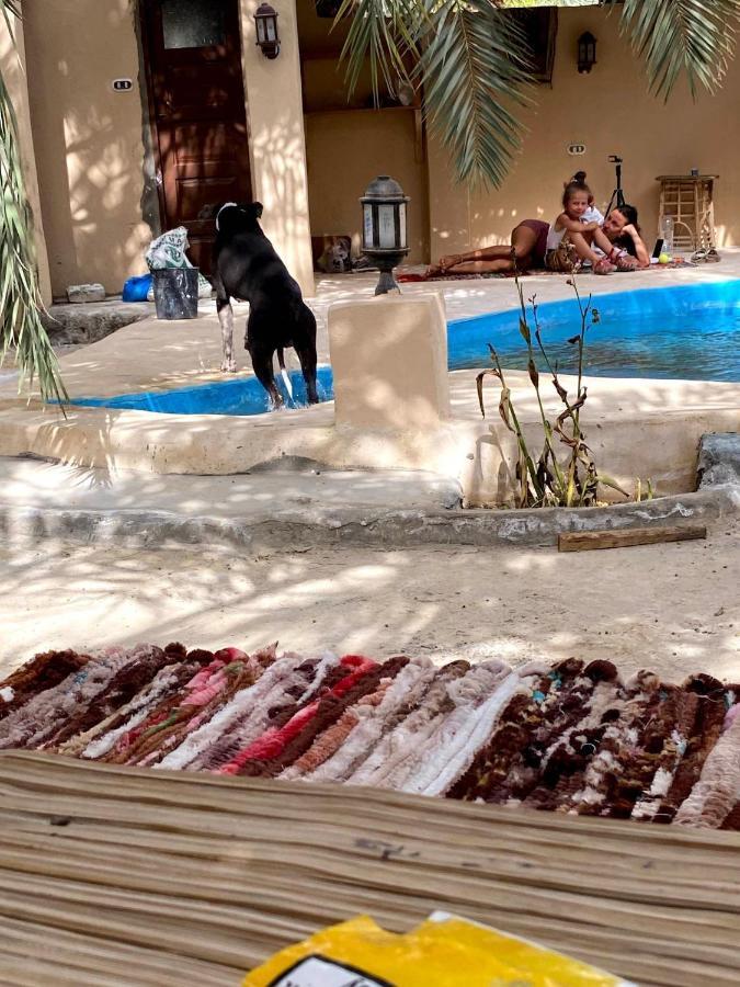 Siwa Oasis Forest Camp Siwa - كامب الغابة מראה חיצוני תמונה