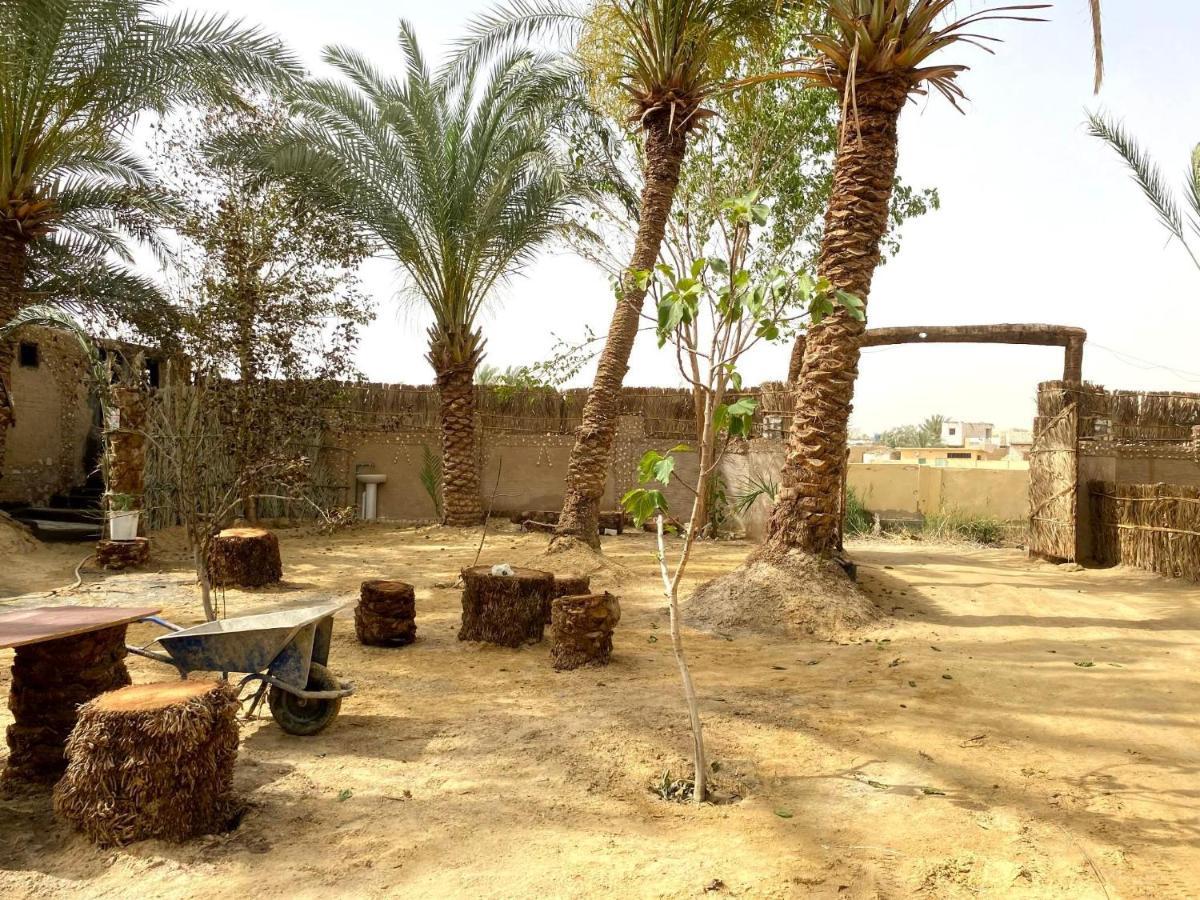 Siwa Oasis Forest Camp Siwa - كامب الغابة מראה חיצוני תמונה