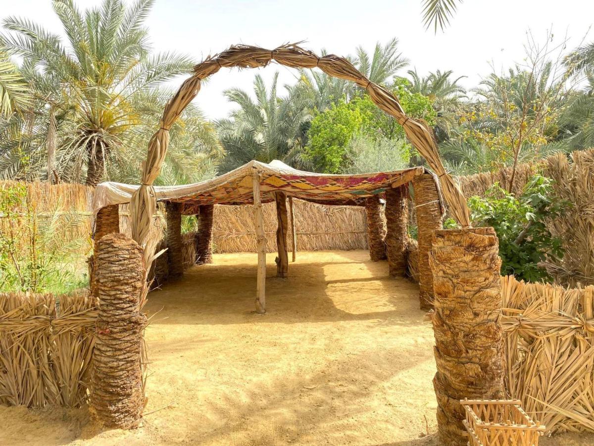 Siwa Oasis Forest Camp Siwa - كامب الغابة מראה חיצוני תמונה