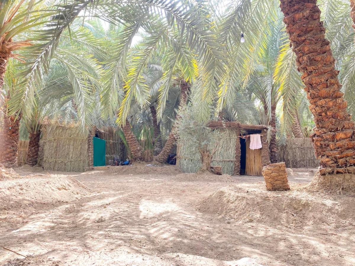Siwa Oasis Forest Camp Siwa - كامب الغابة מראה חיצוני תמונה