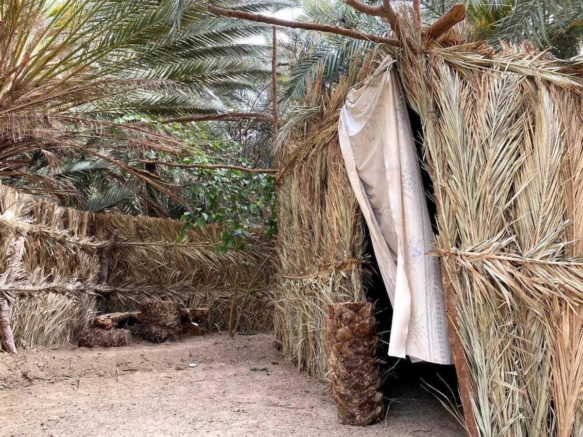 Siwa Oasis Forest Camp Siwa - كامب الغابة מראה חיצוני תמונה