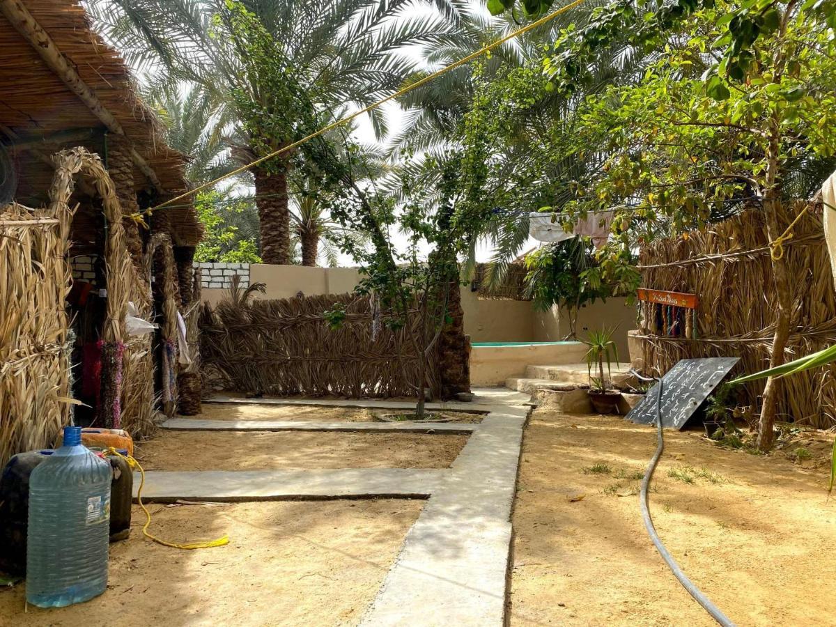 Siwa Oasis Forest Camp Siwa - كامب الغابة מראה חיצוני תמונה