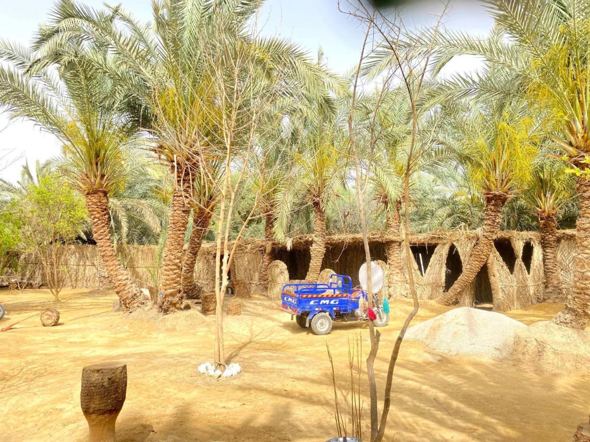 Siwa Oasis Forest Camp Siwa - كامب الغابة מראה חיצוני תמונה
