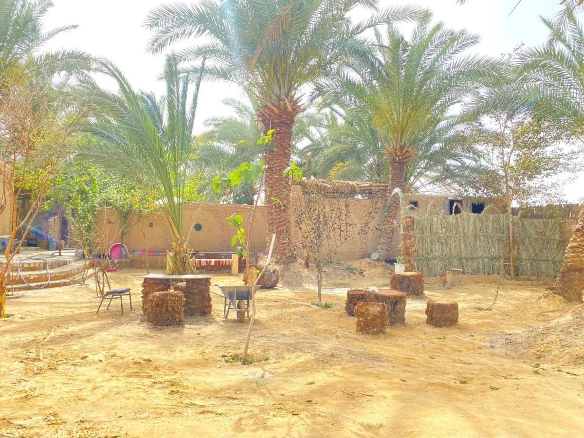 Siwa Oasis Forest Camp Siwa - كامب الغابة מראה חיצוני תמונה