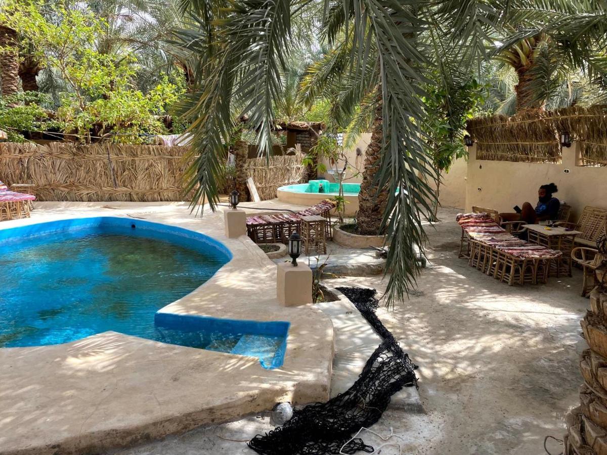 Siwa Oasis Forest Camp Siwa - كامب الغابة מראה חיצוני תמונה