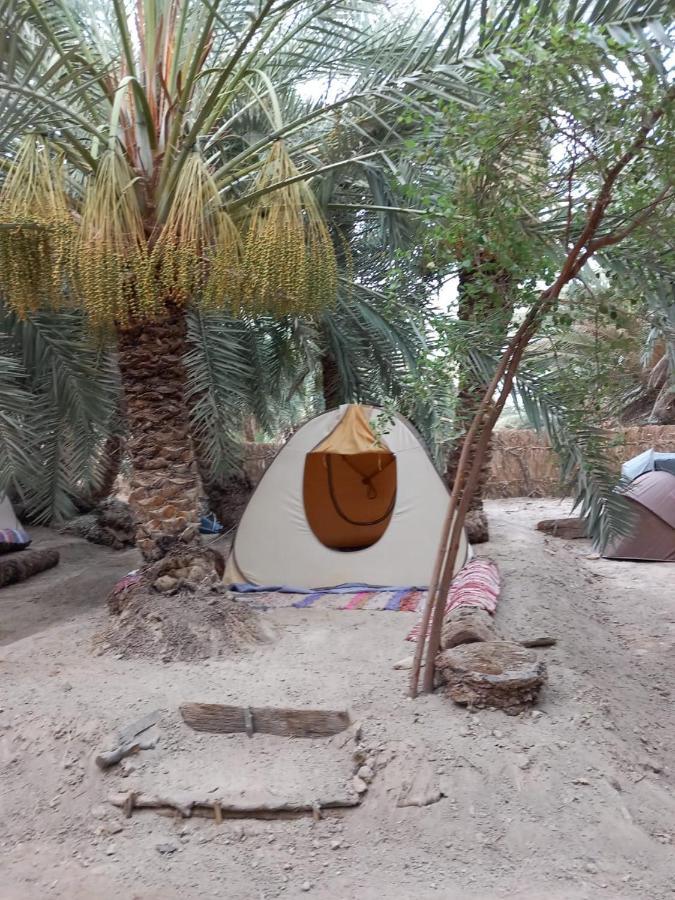 Siwa Oasis Forest Camp Siwa - كامب الغابة מראה חיצוני תמונה