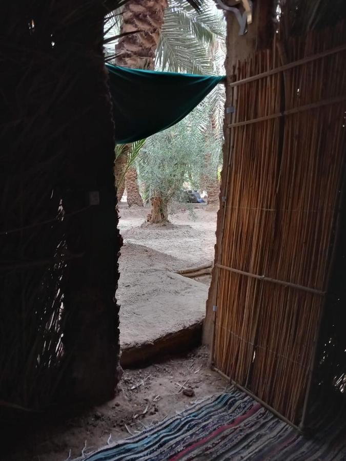 Siwa Oasis Forest Camp Siwa - كامب الغابة מראה חיצוני תמונה
