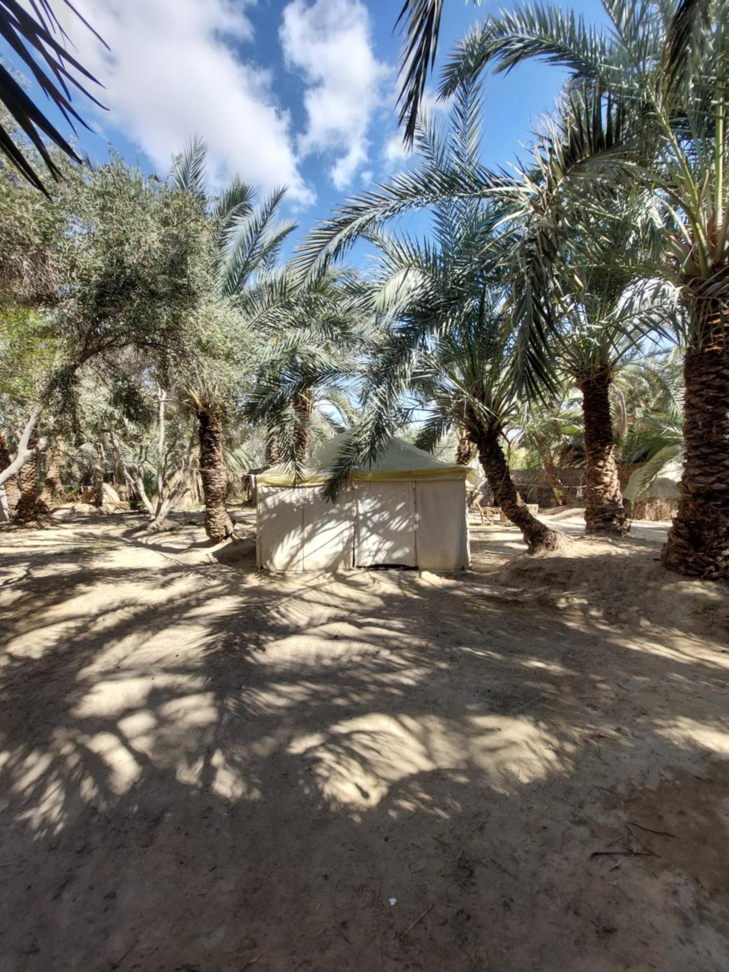 Siwa Oasis Forest Camp Siwa - كامب الغابة מראה חיצוני תמונה