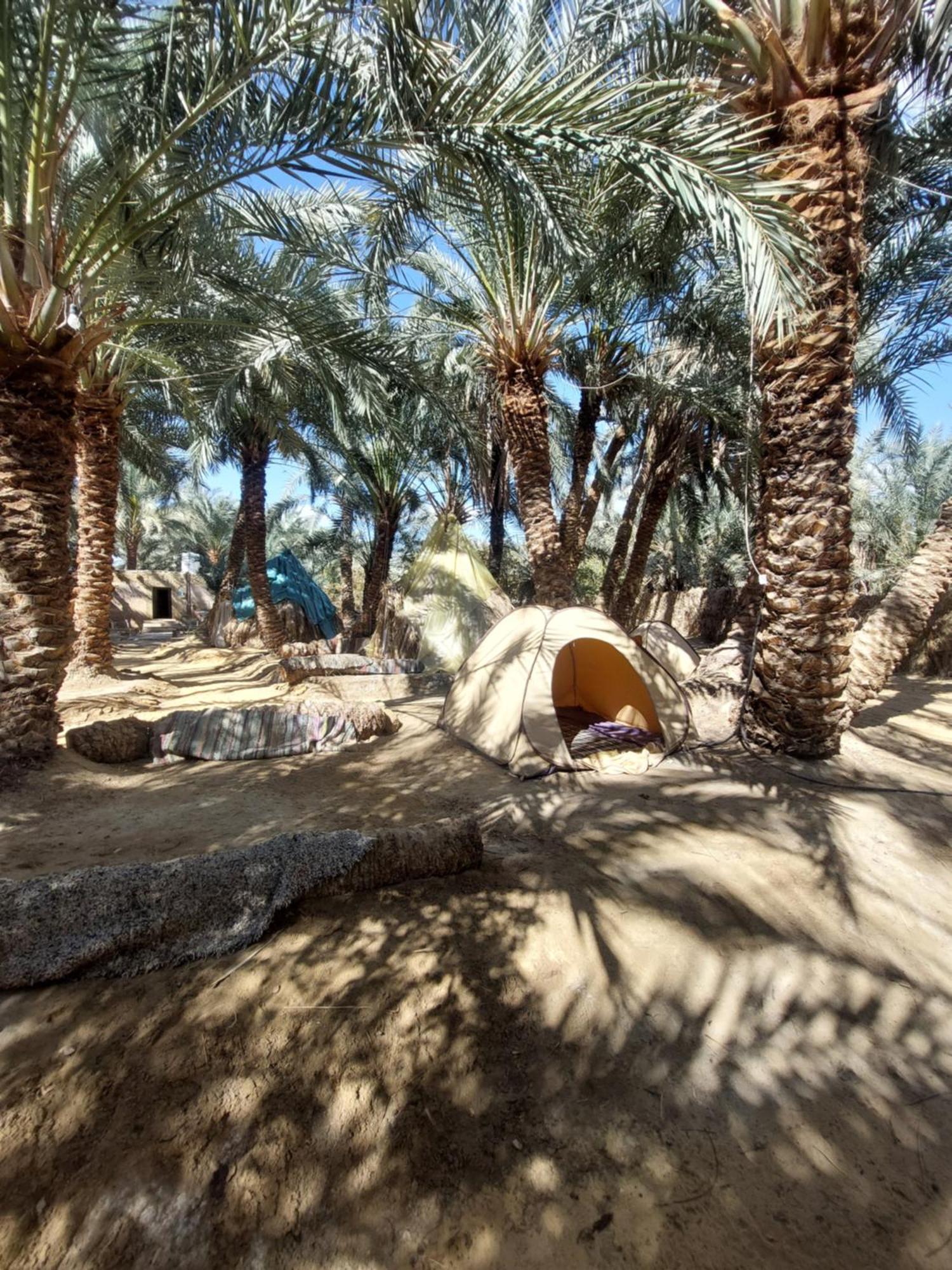 Siwa Oasis Forest Camp Siwa - كامب الغابة מראה חיצוני תמונה