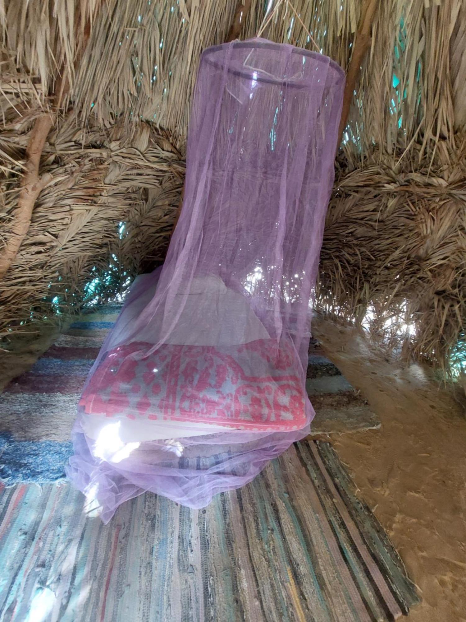 Siwa Oasis Forest Camp Siwa - كامب الغابة מראה חיצוני תמונה