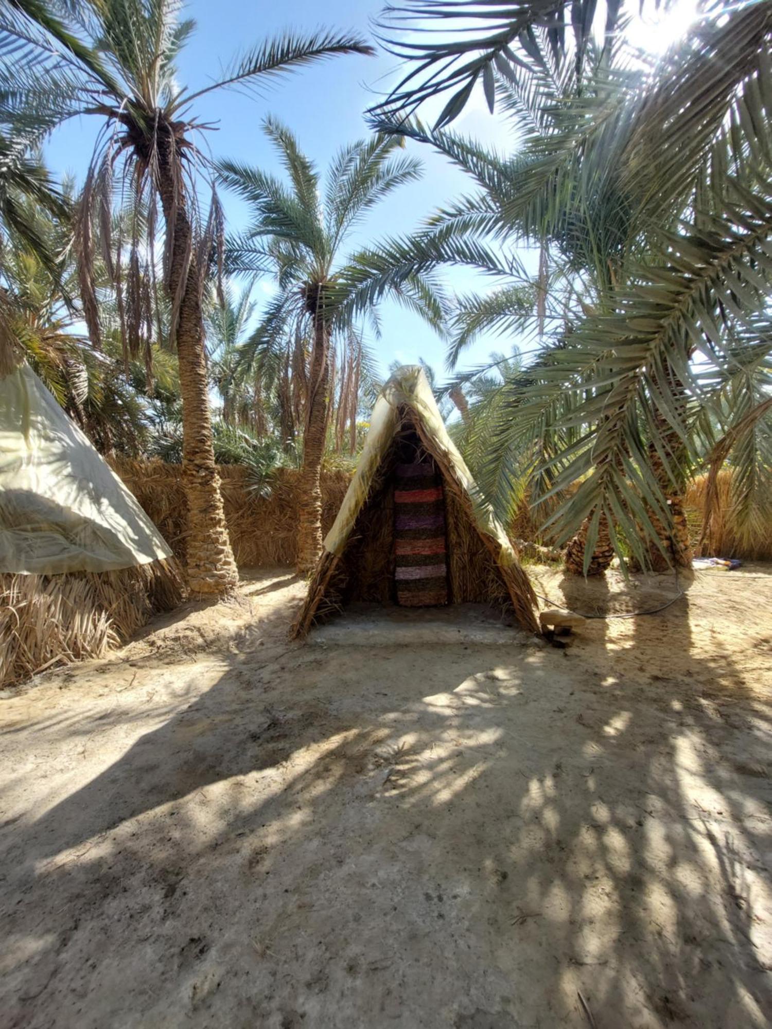 Siwa Oasis Forest Camp Siwa - كامب الغابة מראה חיצוני תמונה