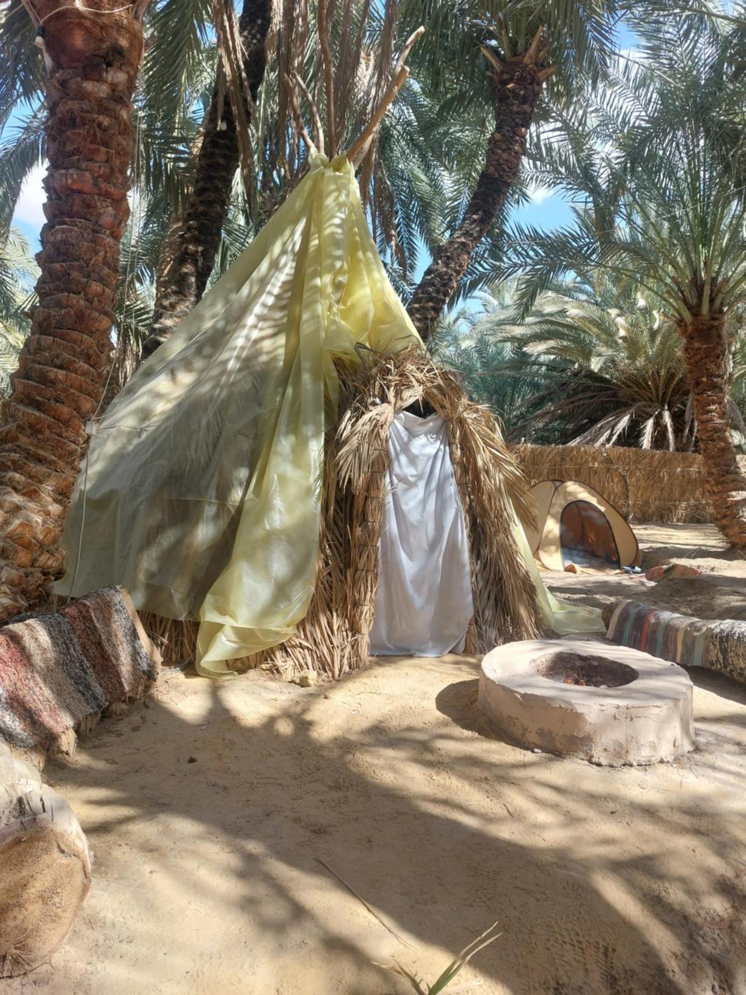 Siwa Oasis Forest Camp Siwa - كامب الغابة מראה חיצוני תמונה