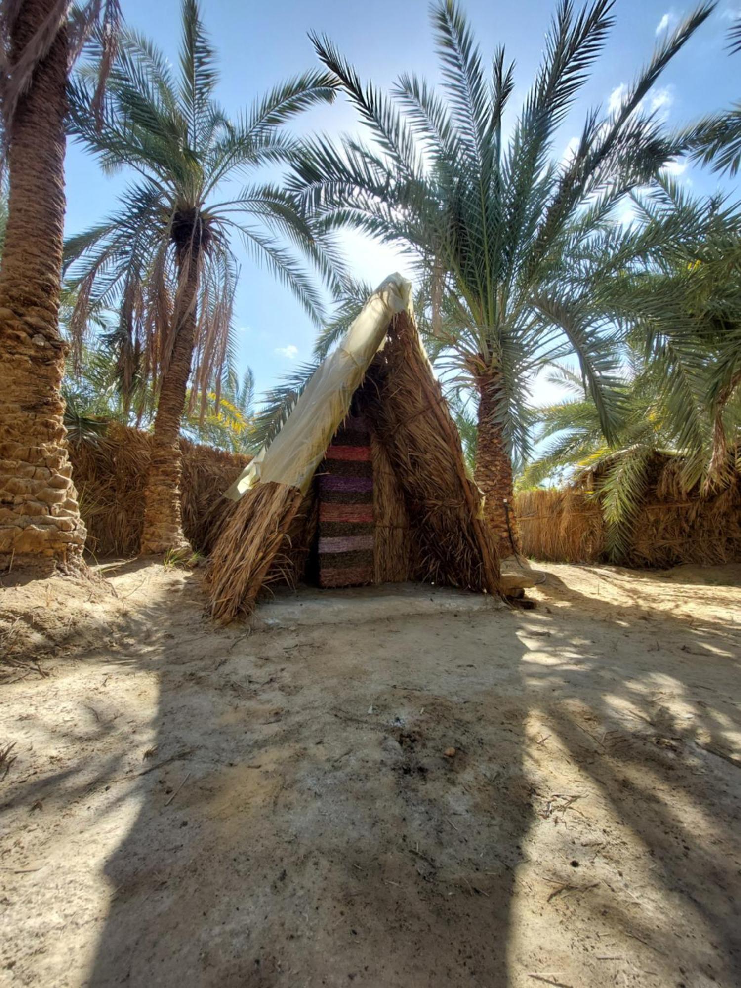 Siwa Oasis Forest Camp Siwa - كامب الغابة מראה חיצוני תמונה