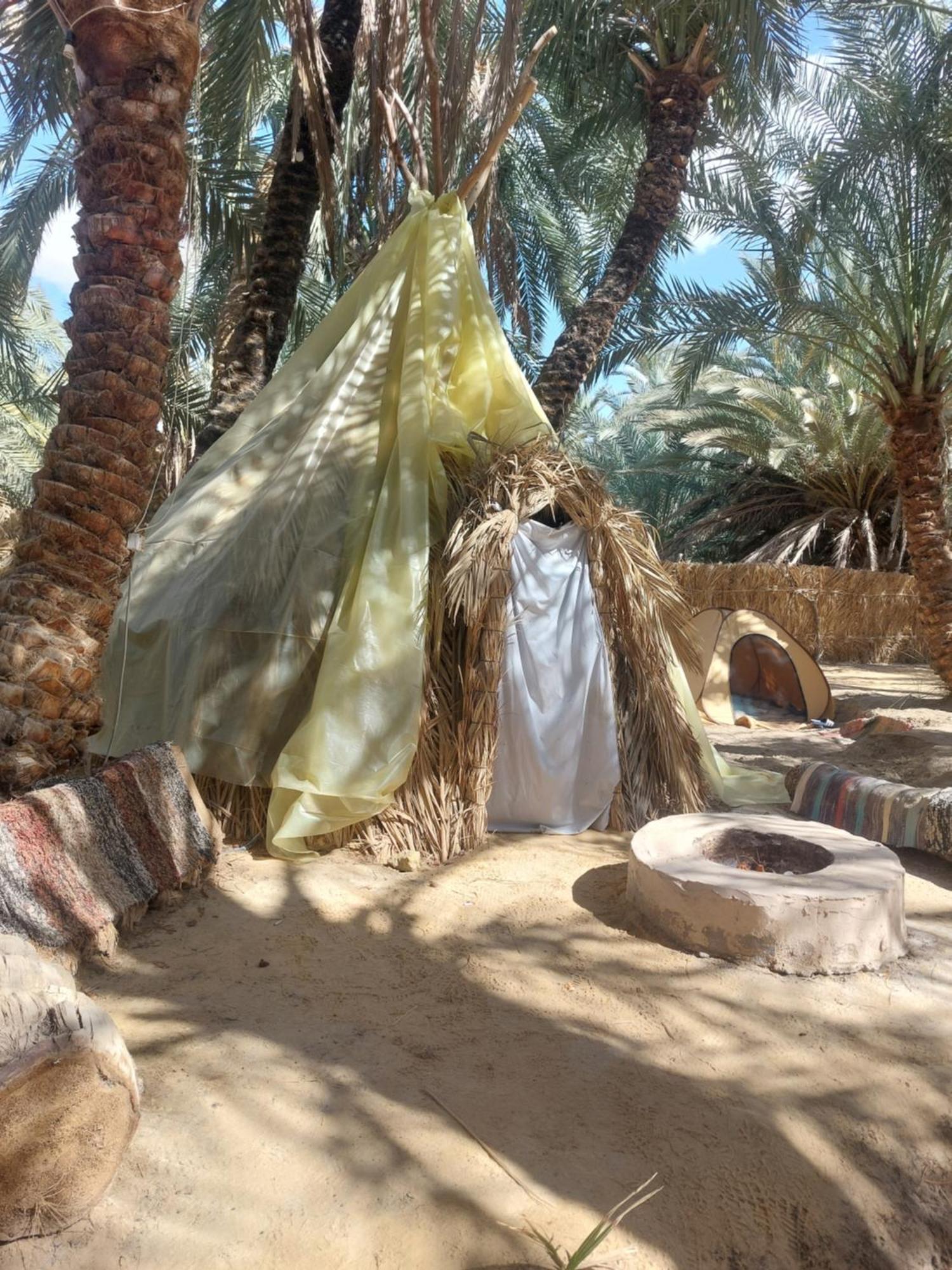 Siwa Oasis Forest Camp Siwa - كامب الغابة מראה חיצוני תמונה