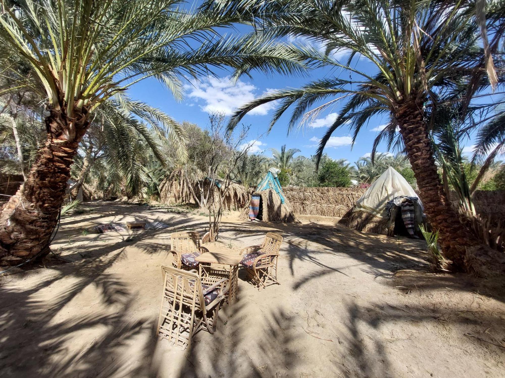 Siwa Oasis Forest Camp Siwa - كامب الغابة מראה חיצוני תמונה
