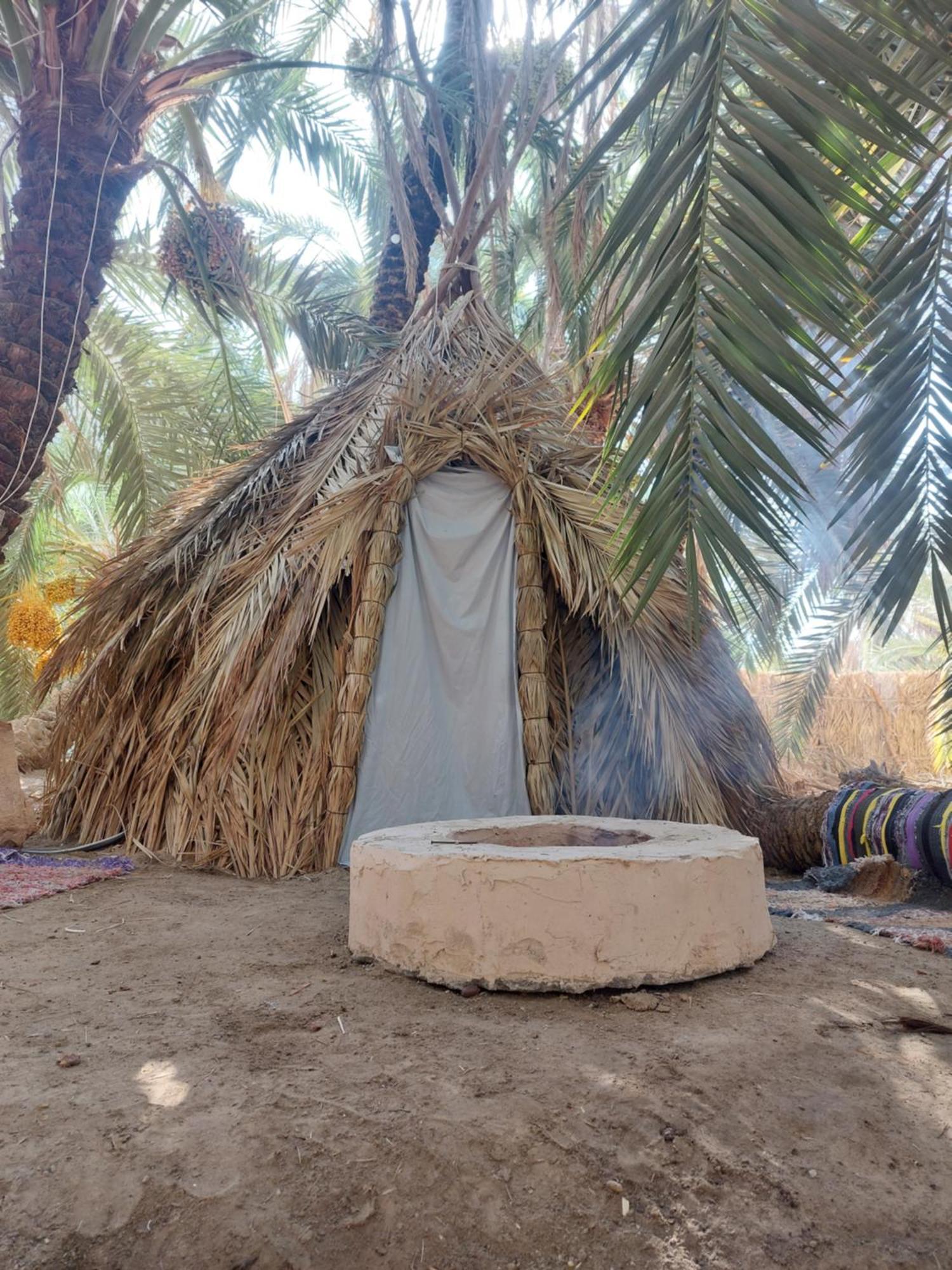 Siwa Oasis Forest Camp Siwa - كامب الغابة מראה חיצוני תמונה