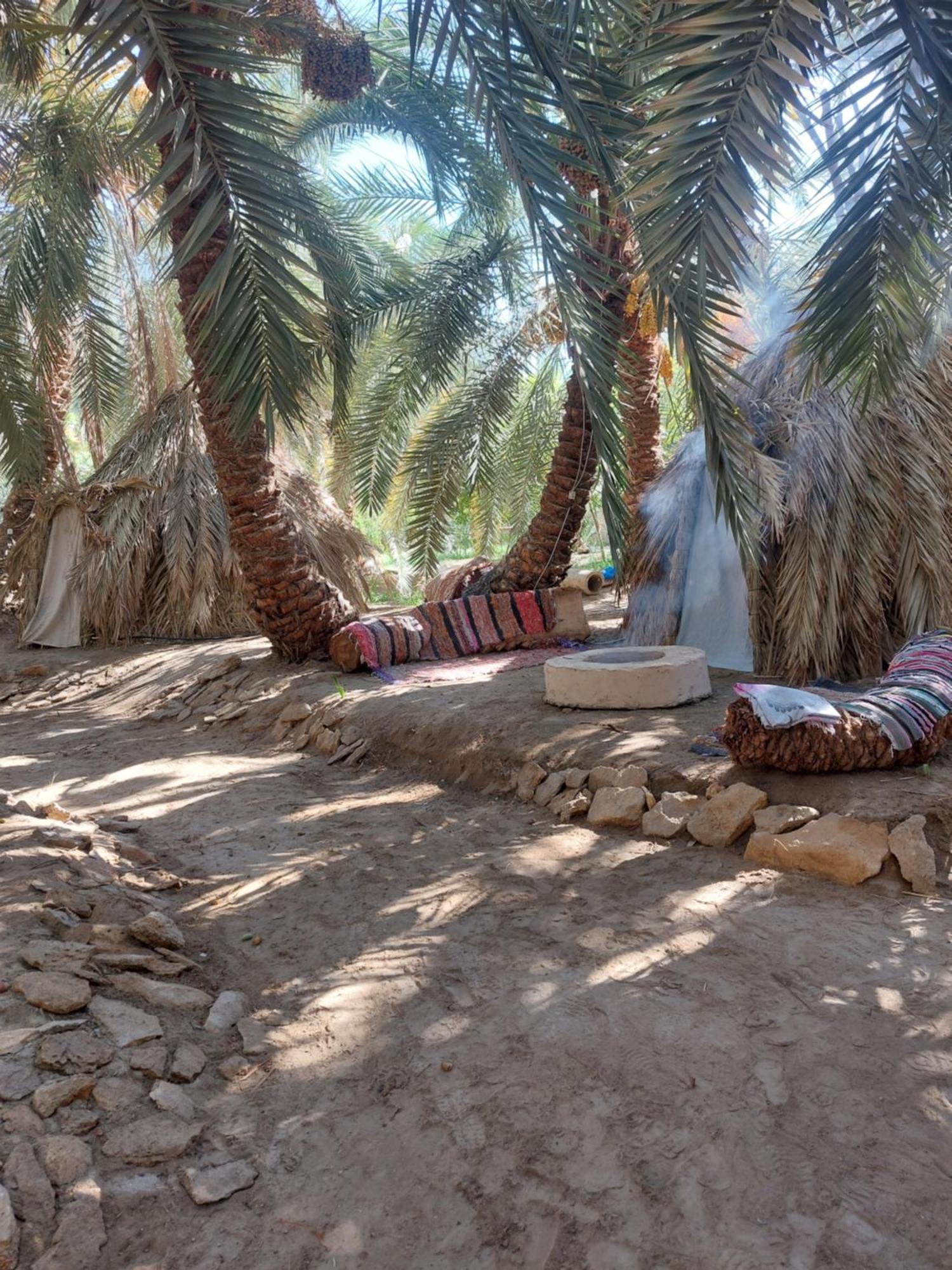Siwa Oasis Forest Camp Siwa - كامب الغابة מראה חיצוני תמונה