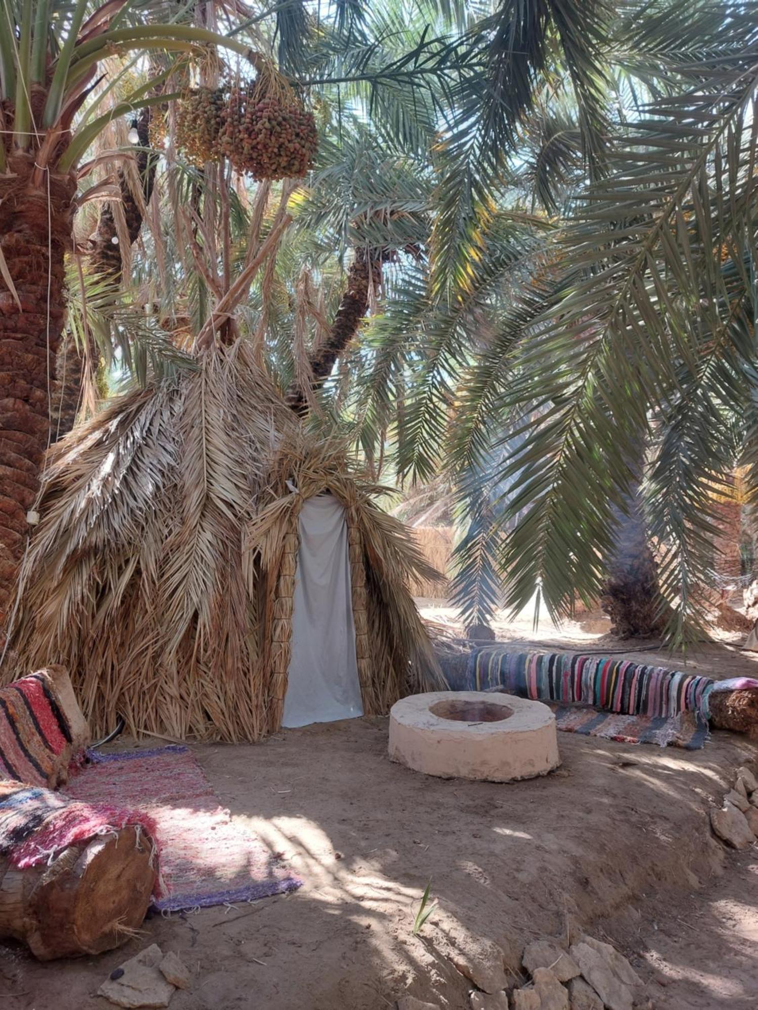 Siwa Oasis Forest Camp Siwa - كامب الغابة מראה חיצוני תמונה