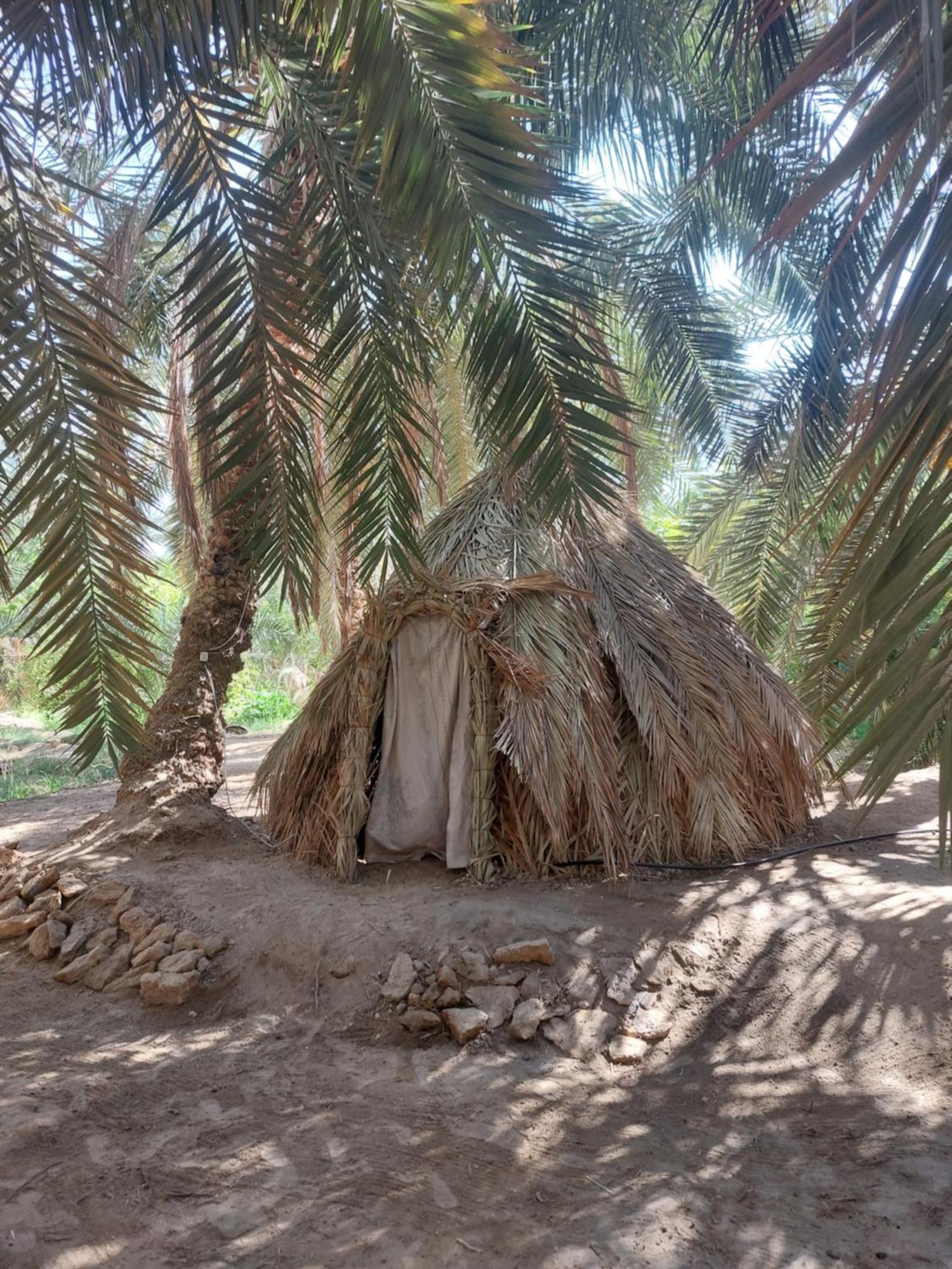 Siwa Oasis Forest Camp Siwa - كامب الغابة מראה חיצוני תמונה