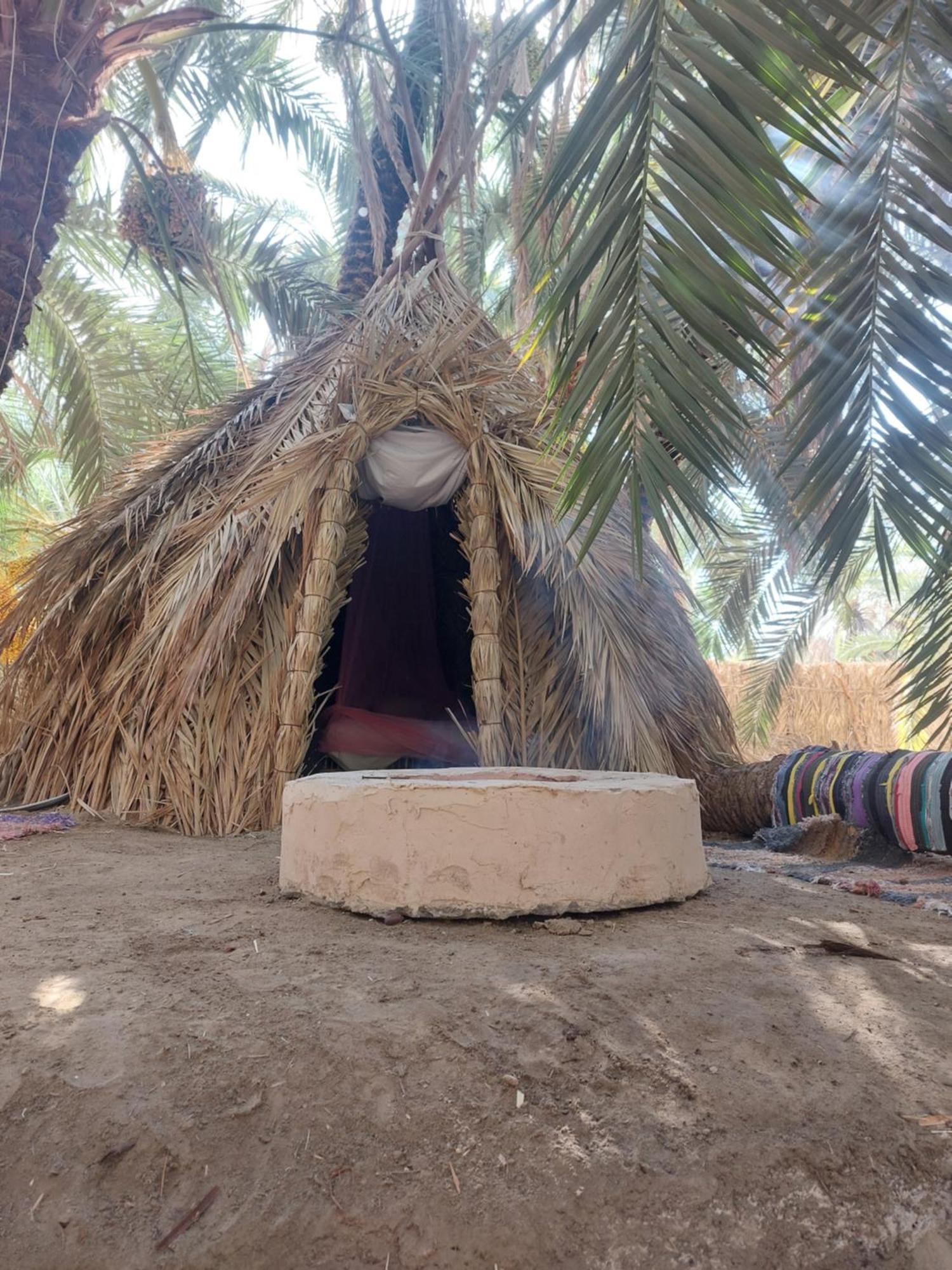 Siwa Oasis Forest Camp Siwa - كامب الغابة מראה חיצוני תמונה