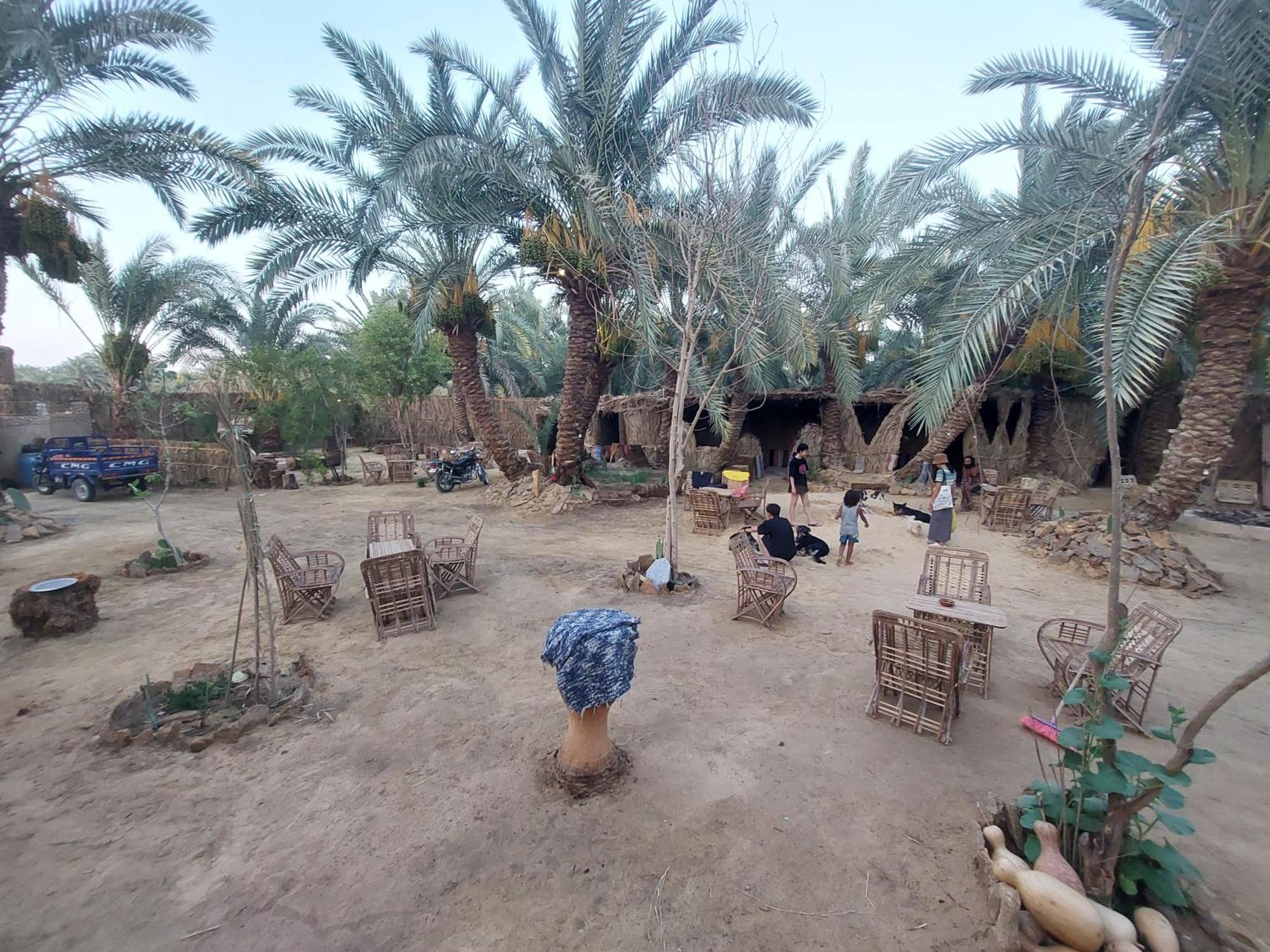 Siwa Oasis Forest Camp Siwa - كامب الغابة מראה חיצוני תמונה