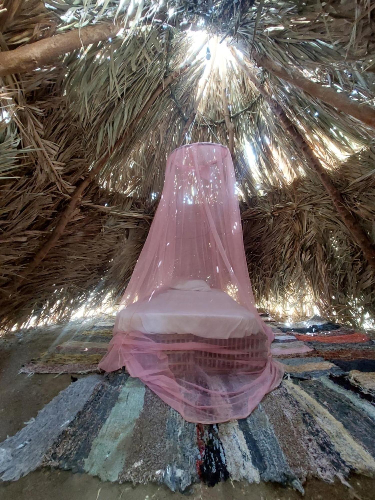 Siwa Oasis Forest Camp Siwa - كامب الغابة מראה חיצוני תמונה