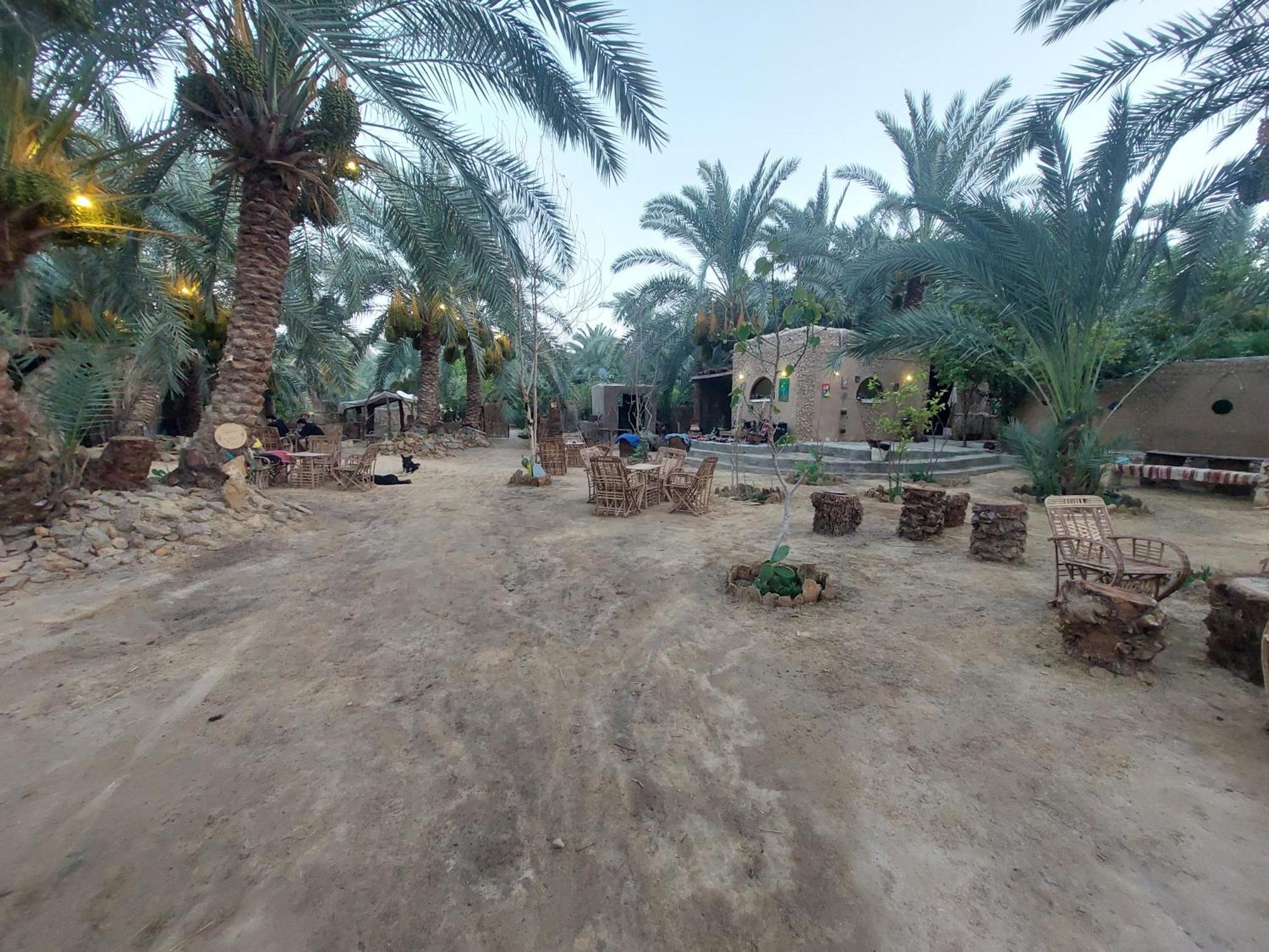 Siwa Oasis Forest Camp Siwa - كامب الغابة מראה חיצוני תמונה