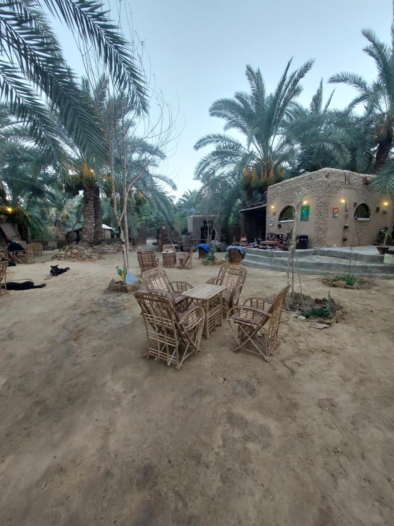 Siwa Oasis Forest Camp Siwa - كامب الغابة מראה חיצוני תמונה