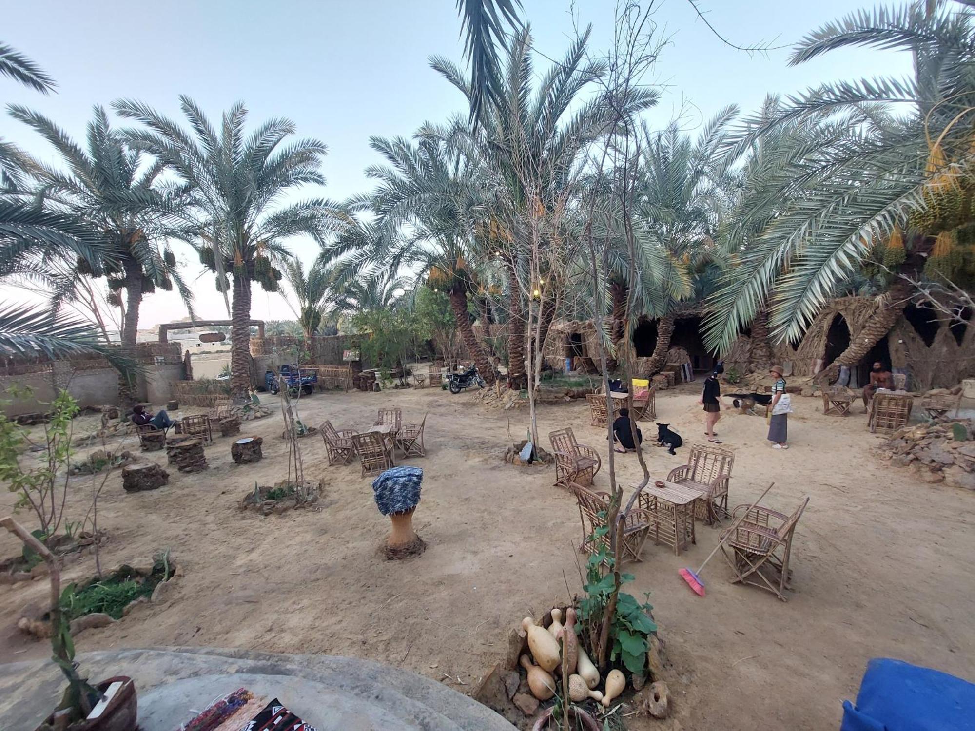 Siwa Oasis Forest Camp Siwa - كامب الغابة מראה חיצוני תמונה