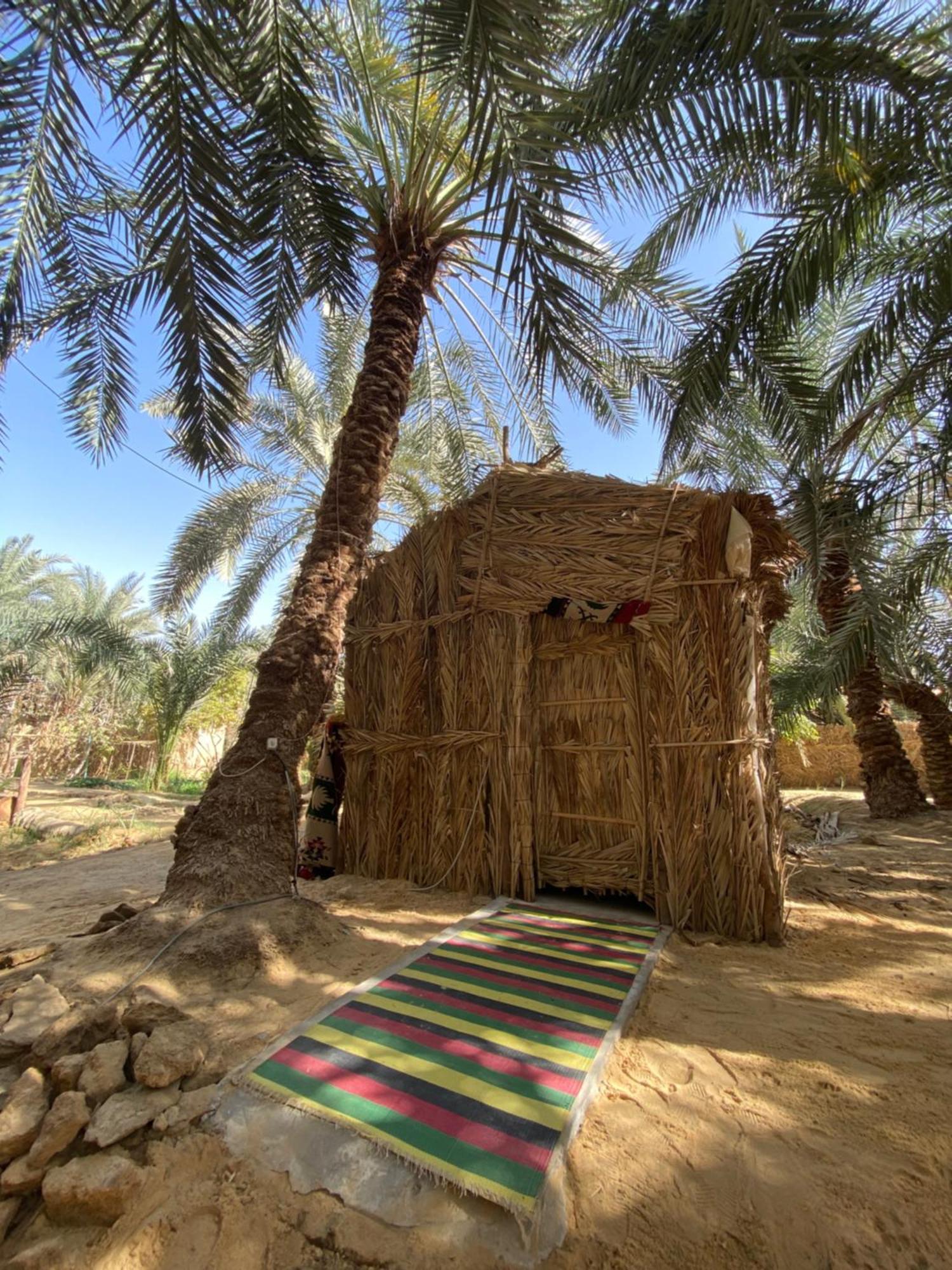 Siwa Oasis Forest Camp Siwa - كامب الغابة מראה חיצוני תמונה