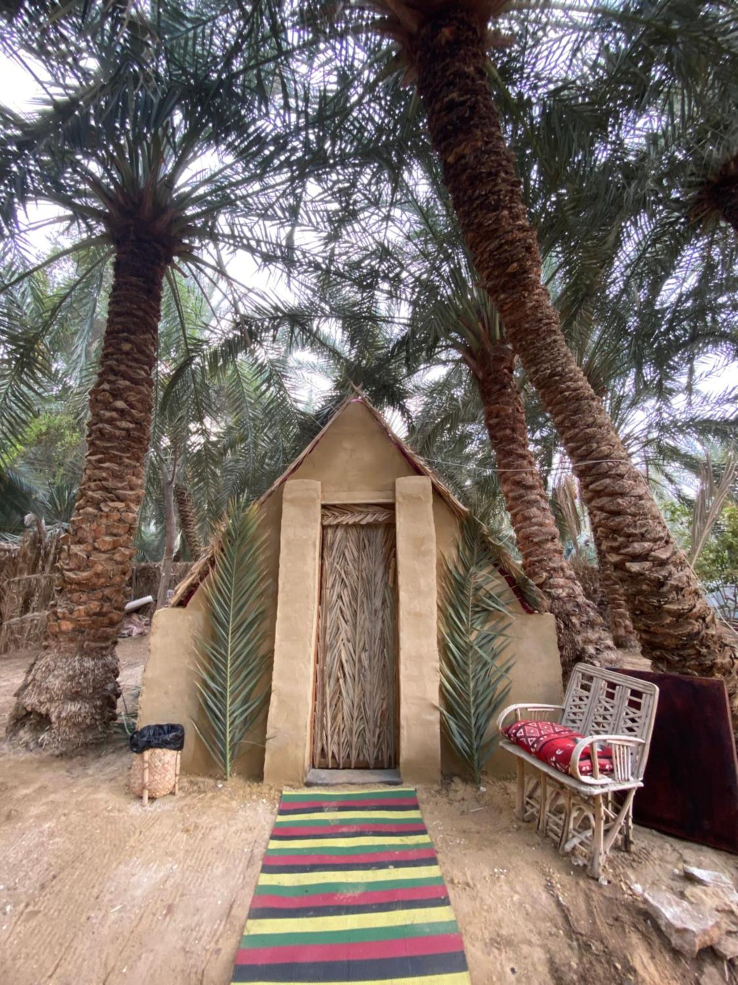 Siwa Oasis Forest Camp Siwa - كامب الغابة מראה חיצוני תמונה