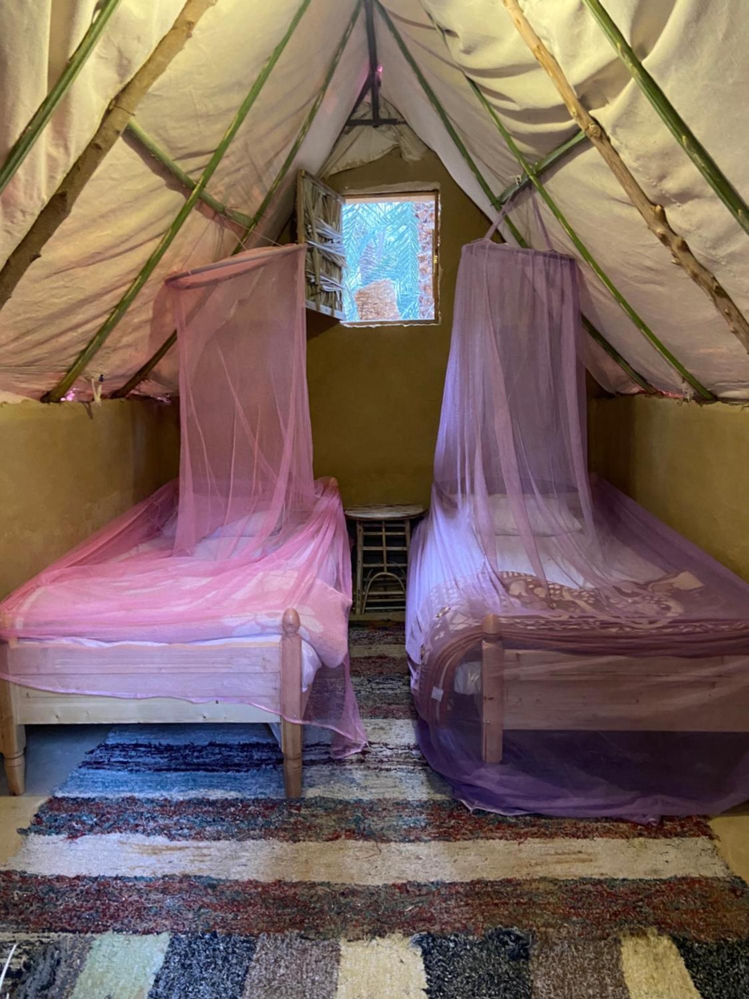 Siwa Oasis Forest Camp Siwa - كامب الغابة מראה חיצוני תמונה