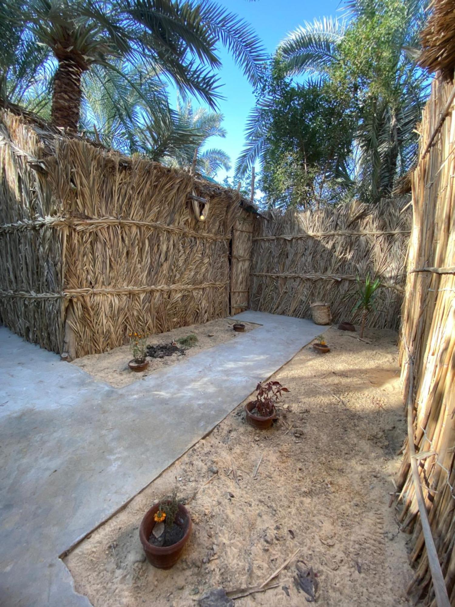 Siwa Oasis Forest Camp Siwa - كامب الغابة מראה חיצוני תמונה