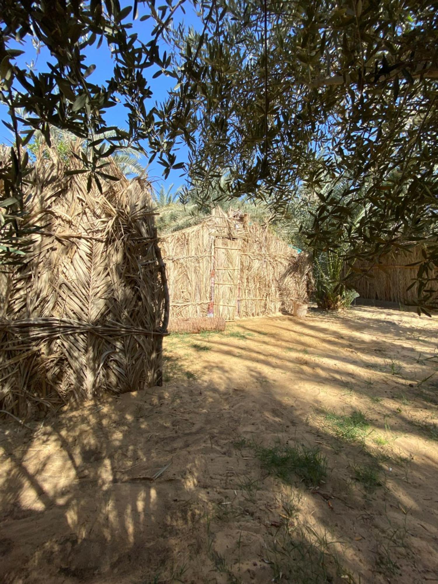 Siwa Oasis Forest Camp Siwa - كامب الغابة מראה חיצוני תמונה