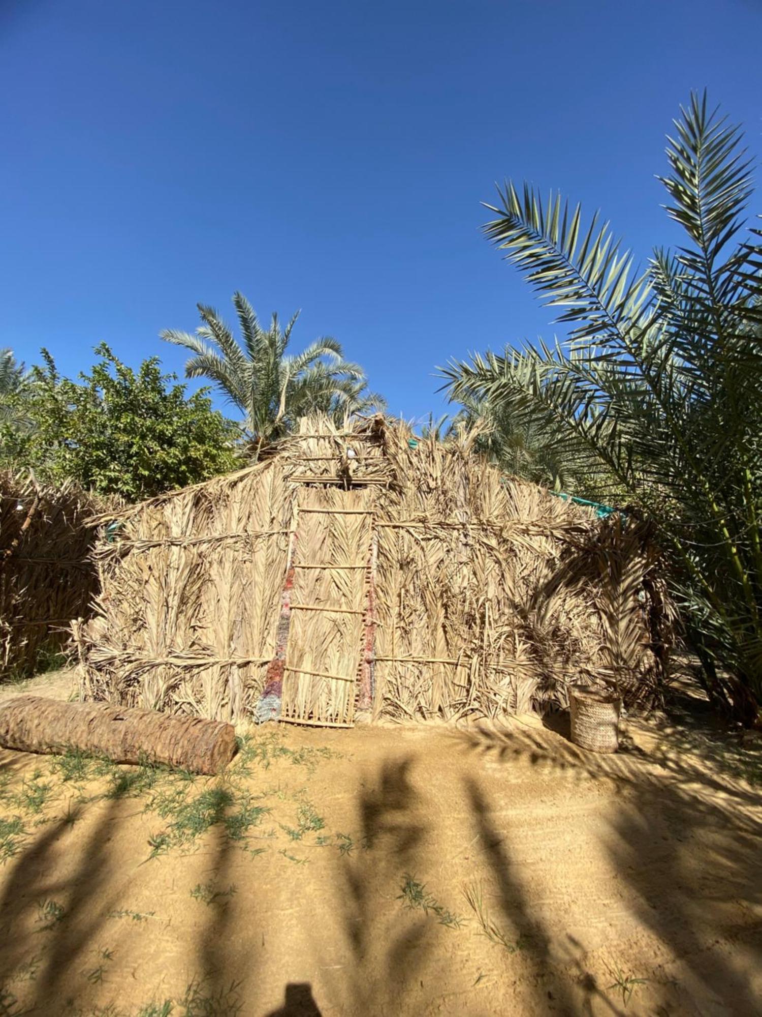Siwa Oasis Forest Camp Siwa - كامب الغابة מראה חיצוני תמונה