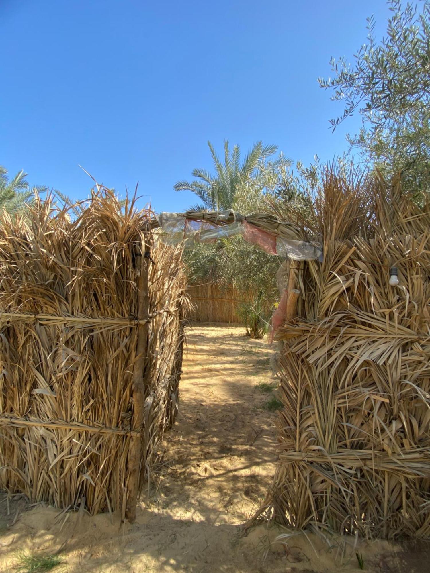 Siwa Oasis Forest Camp Siwa - كامب الغابة מראה חיצוני תמונה