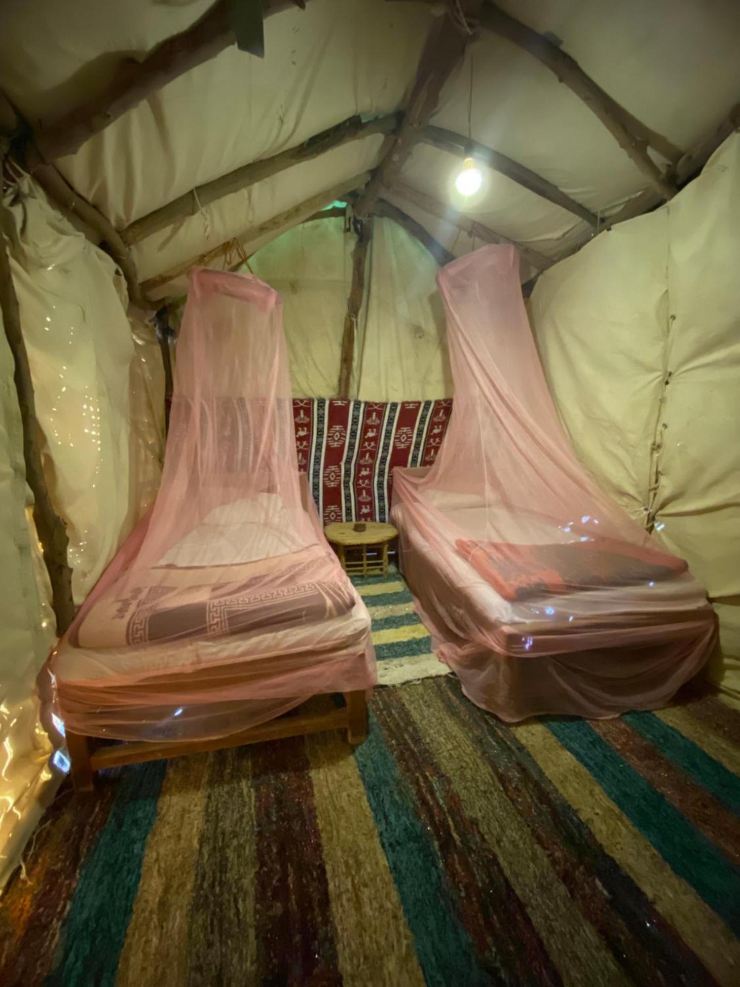 Siwa Oasis Forest Camp Siwa - كامب الغابة מראה חיצוני תמונה