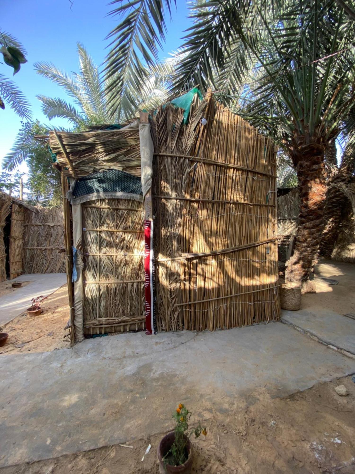 Siwa Oasis Forest Camp Siwa - كامب الغابة מראה חיצוני תמונה